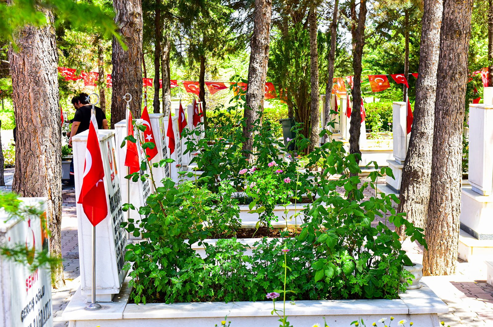 Şehitlerimizin Kabirleri Çiçeklerle Bezendi (2)