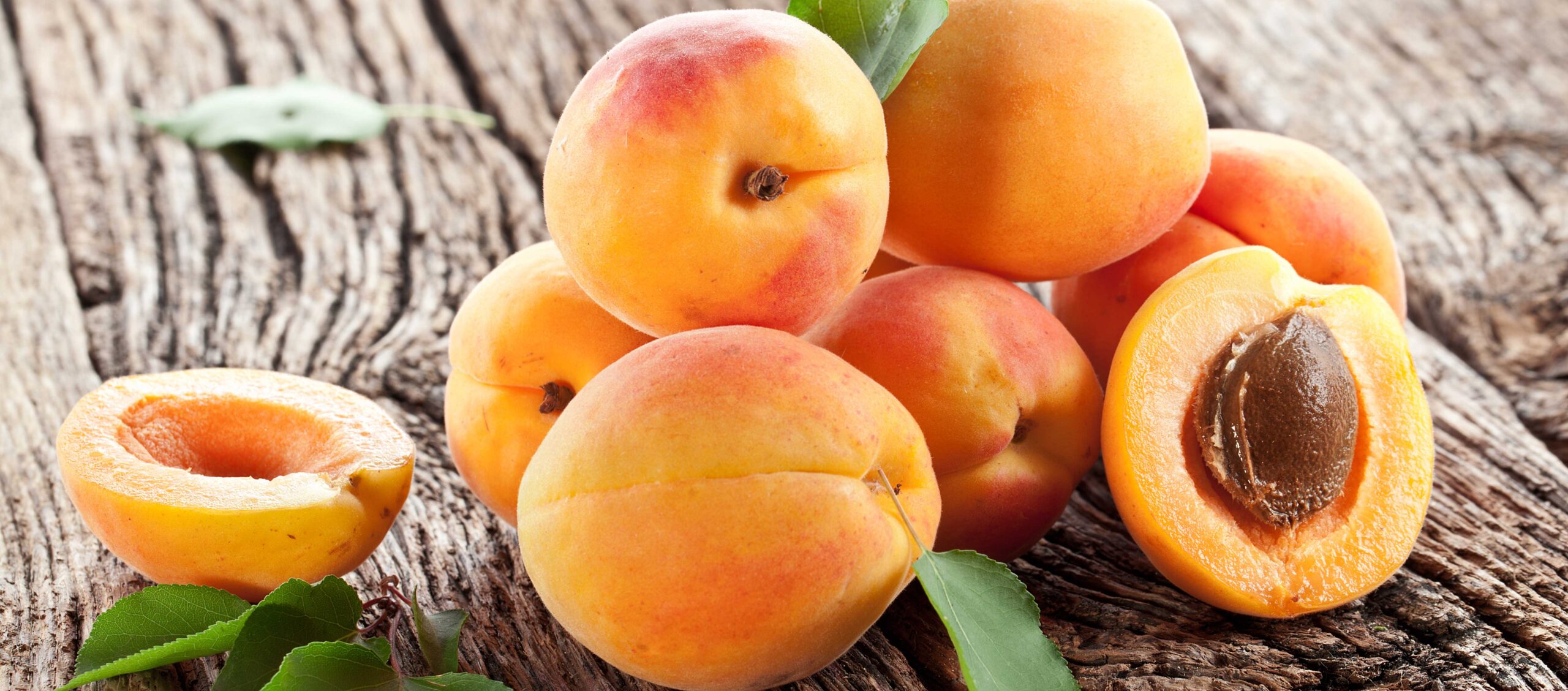 Görsel açıklaması bulunamadı