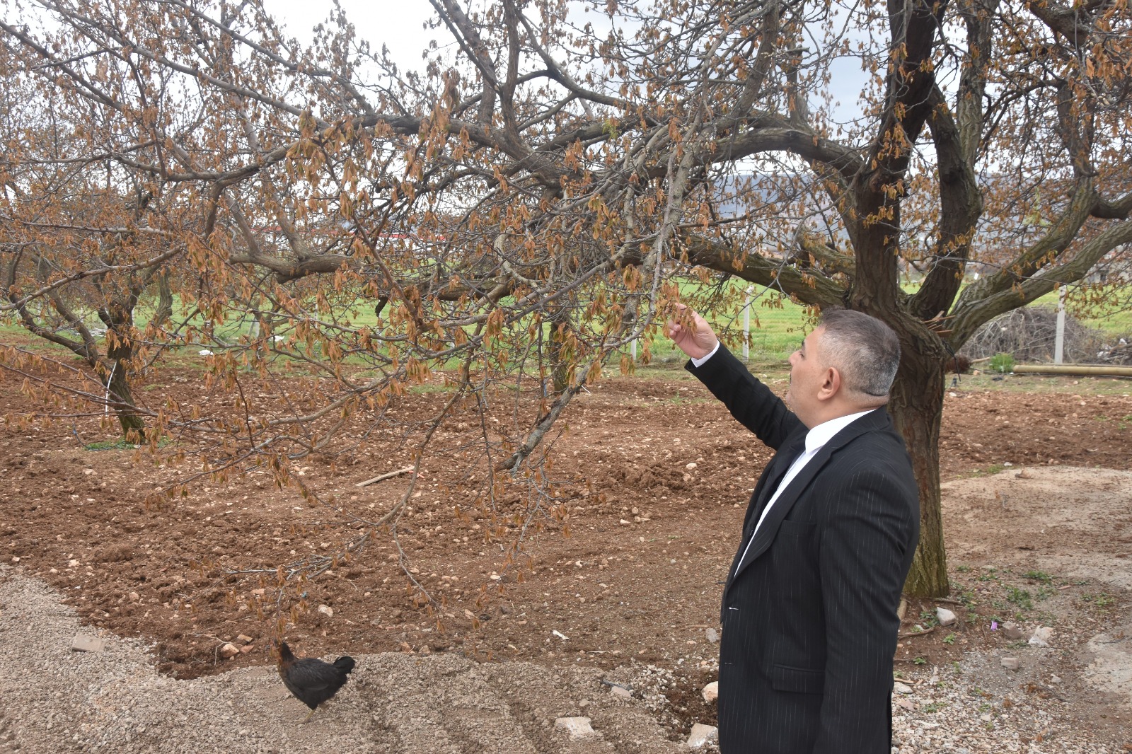 sadıkoğlu
