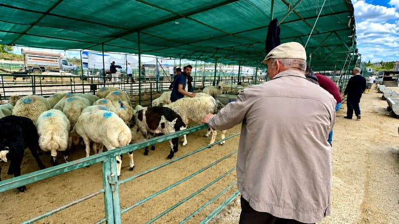 Canlı Hayvan Pazarında Son Gün