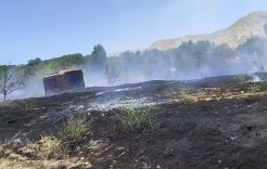 Darende’de Çıkan Yangın Hasara Yol Açtı