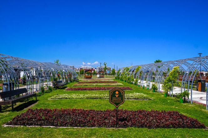 Malatya’da Parklar ve Kavşaklar Çiçeklerle Süslendi