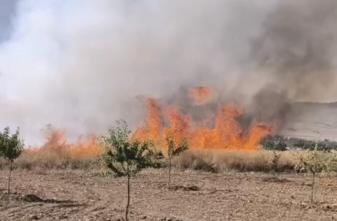 Darende’de Buğday Tarlasında Yangın: 30 Dönüm Alan Zarar Gördü