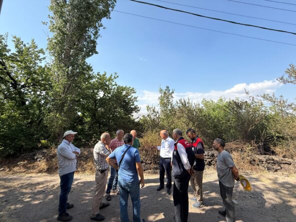 Malatya’da Peş Peşe Anız Yangınları: Onlarca Dekar Alan Zarar Gördü