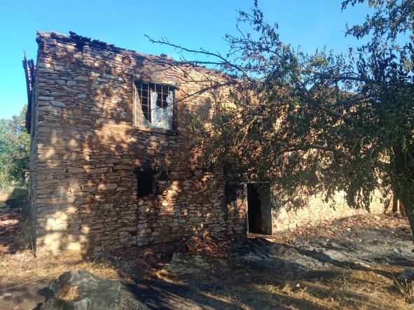 Pütürge’de Yangın: 2 Ev ve 20 Dönümlük Alan Küle Döndü