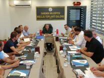Darende Festivale Hazırlanıyor