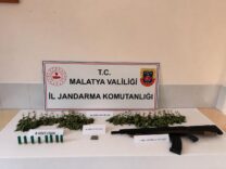 Doğanşehir’de Uyuşturucu Operasyonu: 1 Tutuklama