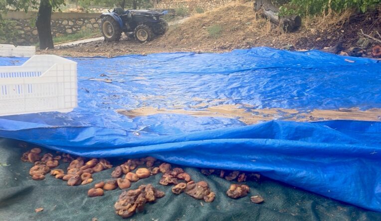 Hekimhan’ı Sel Vurdu: Bir Yıllık Emek Sele Kapıldı!