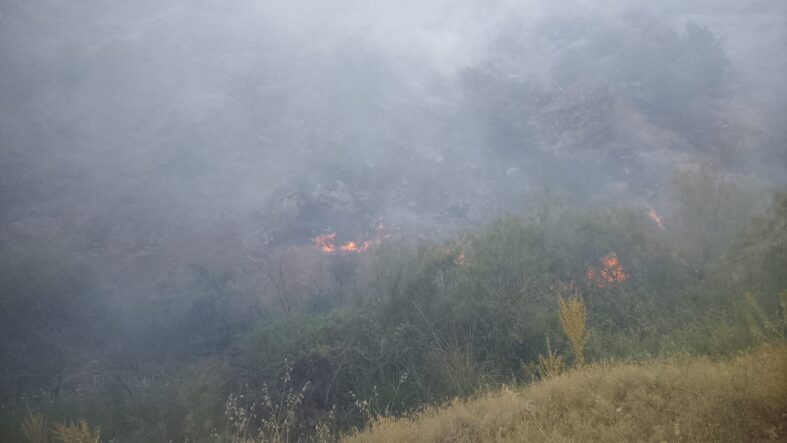 Pütürge’deki Yangına 20 Araç ve 55 Personelle Müdahale
