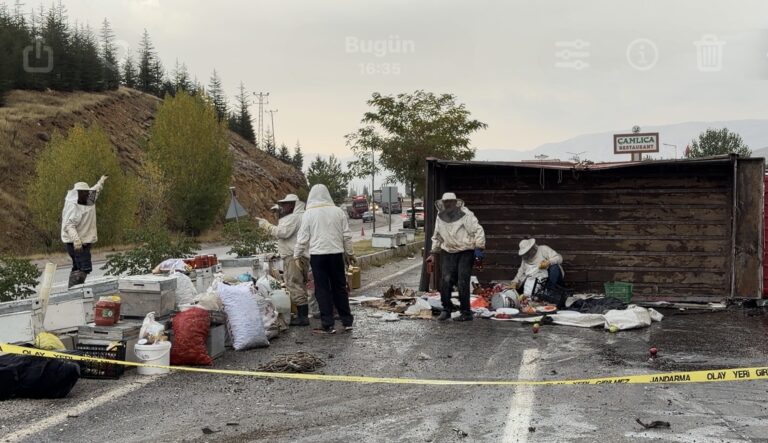Malatya’da Arı Yüklü Kamyon Devrildi: 3 Yaralı