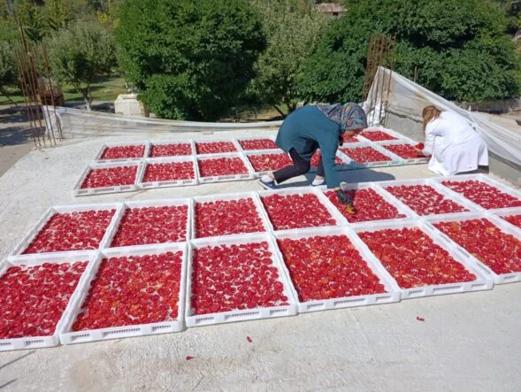 Doğanşehirli Kadınlar Üreterek Ev Ekonomisine Katkı Sağlıyor