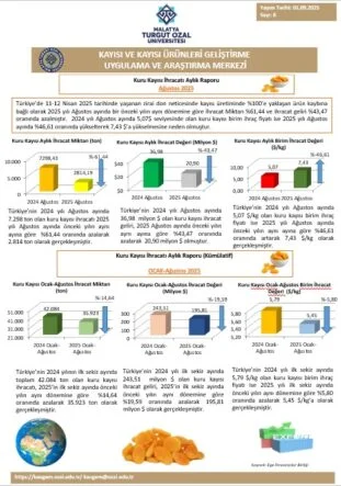 Malatya Turgut Özal Üniversitesi’nden Kuru Kayısı Raporu: İhracatta Sert Düşüş