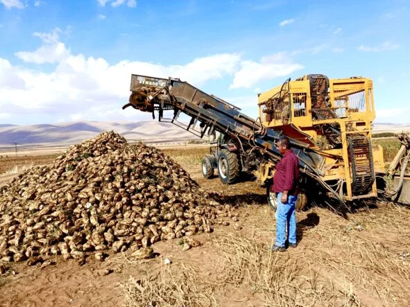 Çiftçi Pancar Ekiyor Ama Emeğinin Karşılığını Alamıyor