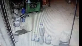 Dilek Mahallesi’nde Su Samuru Sürprizi: Esnafın Güvenlik Kamerasına Takıldı