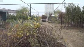 Malatya Fidancıları Afet Sonrası Büyük Kayba Uğradı
