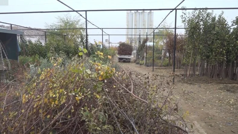 Malatya Fidancıları Afet Sonrası Büyük Kayba Uğradı