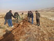 Yeniköy’de Öğretmen, Öğrenci ve Mahalleli Doğa İçin Seferber Oldu