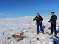 Darende’de Zorlu Kış Şartlarında Yaban Hayvanları İçin Yemleme Çalışması