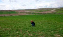 Yazıhan’da Buğday Entegre Mücadele Çalışmaları Kapsamında Arazi Kontrolü ve Eğitim Yapıldı